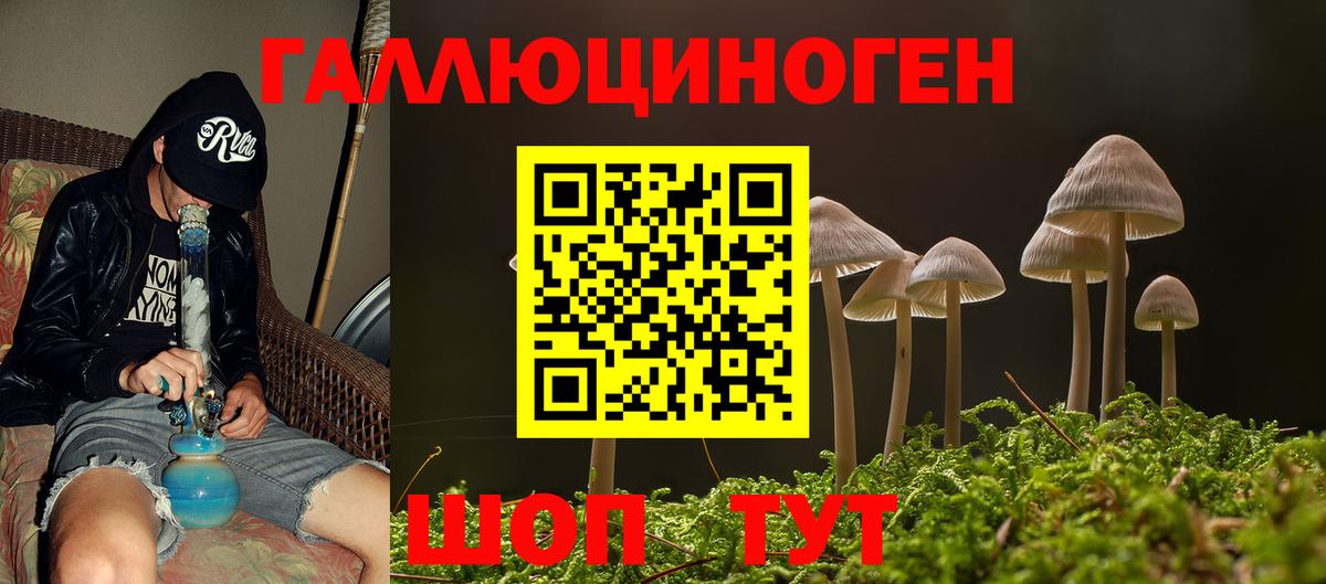Псилоцибиновые грибы MAGIC MUSHROOMS  Вход с VPN  Ульяновск 